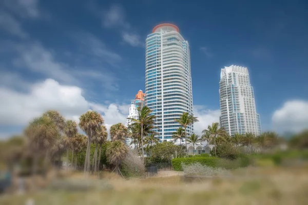 Miami Fll März 2018 Touristen South Point Park Miami Zieht — Stockfoto
