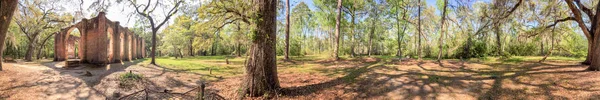 Old Sheldon Church Panoramic View South Carolina — Stock Photo, Image