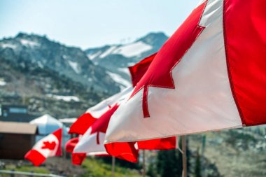 Canada flags waving at the wind in mountain scenario. clipart