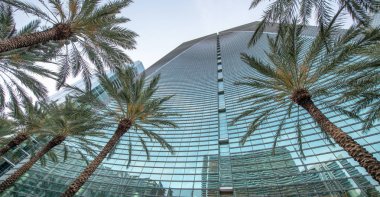 Modern bina Palms tarafından çevrili.