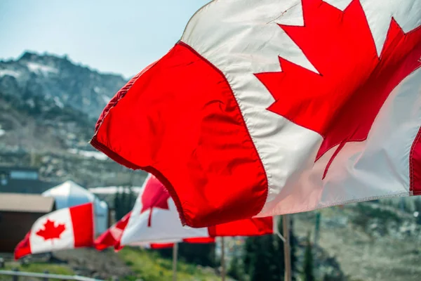 Καναδά Σημαίες Ανεμίζουν Στο Τον Άνεμο Στο Βουνό Σενάριο — Φωτογραφία Αρχείου