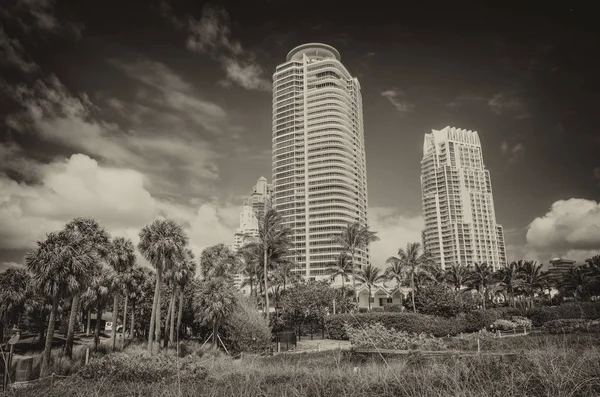 South Pointe Park Jesienią Miami — Zdjęcie stockowe