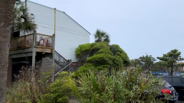 Folly Beach Ville Située Sur Île Folly Dans Comté Charleston — Video
