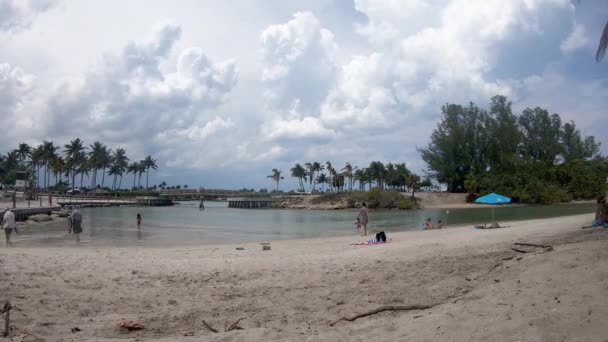 Panoramautsikt Över Stranden Solig Dag Jupiter Florida — Stockvideo
