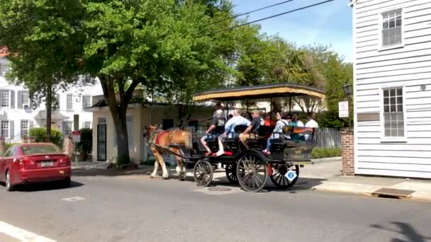 Charleston Usa April 2018 Orang Yang Naik Kereta Kuda — Stok Video