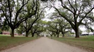 Bir yağmurlu günde, video Plantation sokak 