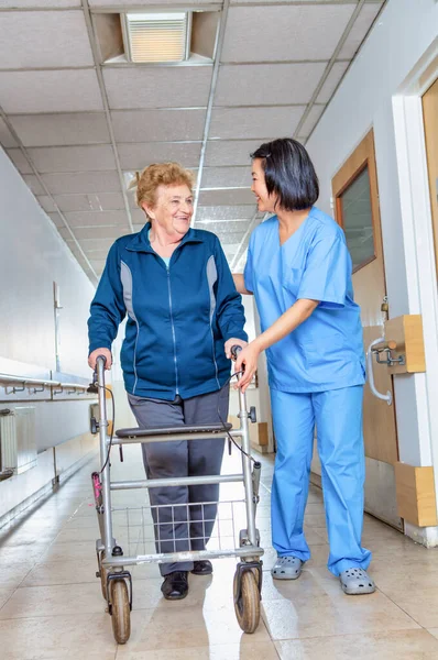 Assistente Profissional Apoiando Mulher Idosa Usando Andador Corredor Hospital — Fotografia de Stock