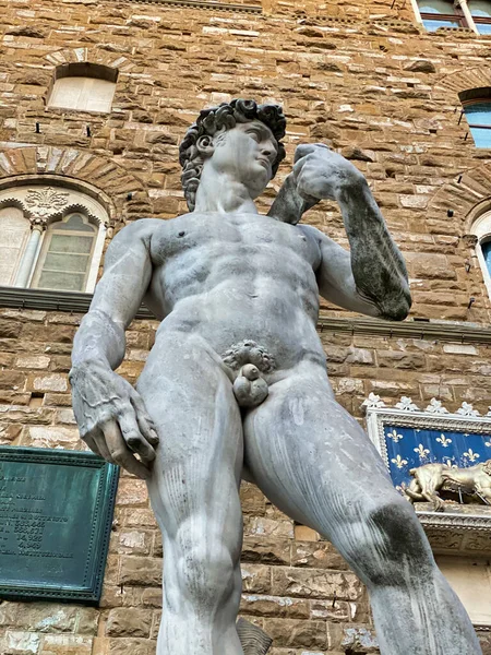 Michelangelova socha Davida na náměstí Piazza Signoria, Florencie — Stock fotografie