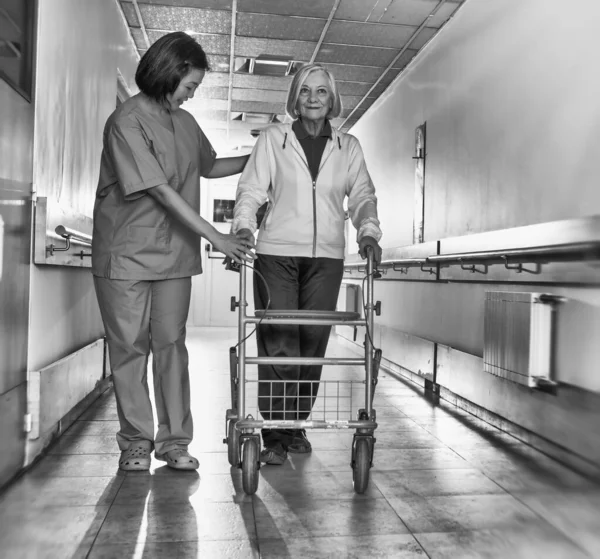 Assistente Professionale Che Sostiene Donna Anziana Usando Walker Nel Corridoio — Foto Stock