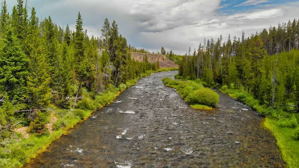 Vista aérea del río y bosque de Yellowstone en temporada de verano, Wy —  Fotos de Stock