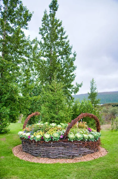 Cesta de flores gigantes en un jardín, Islandia — Foto de Stock