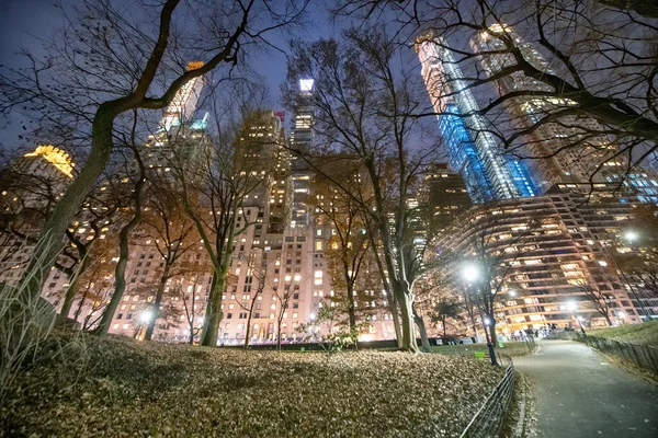 Central Park 'tan New York' a kadar uzanan Manhattan Binaları — Stok fotoğraf