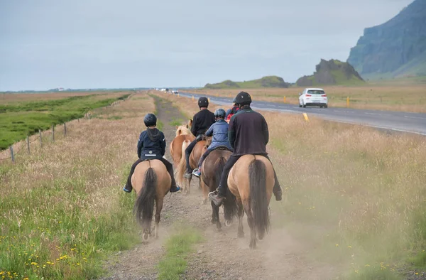 Visão traseira dos cavalos no verão, Islândia — Fotografia de Stock