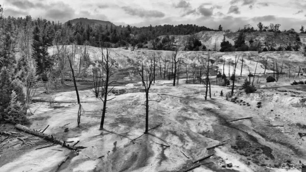 Yellowstone Mammoth Hot Springs, overhead aerial view of rocks a — Stock Photo, Image