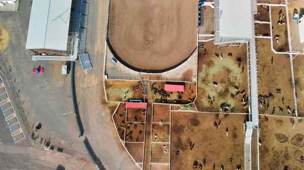 Aerial view of Rodeo Stadium and standings — Stock Photo, Image