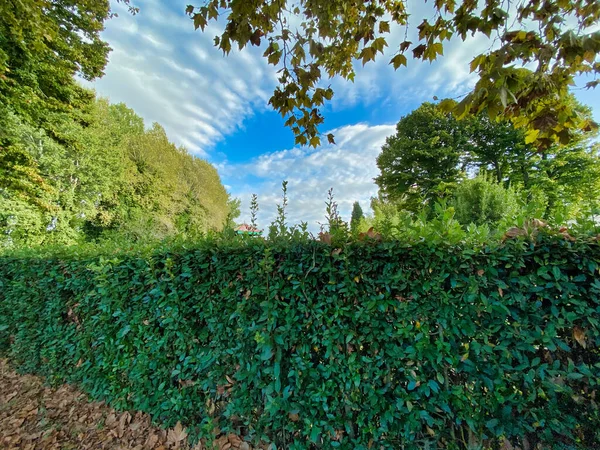 Beautful park in autumn season — Stock Photo, Image