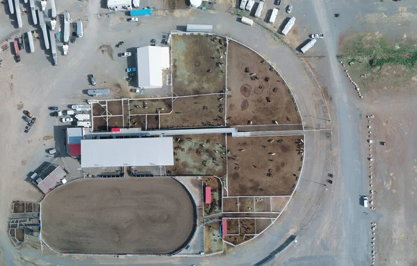 Vista Aérea Cody Stampede Park Onde Acontece Rodeo Wyoming — Fotografia de Stock