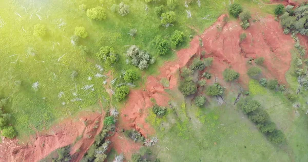 Bela vista aérea aérea dos prados do campo no verão — Fotografia de Stock