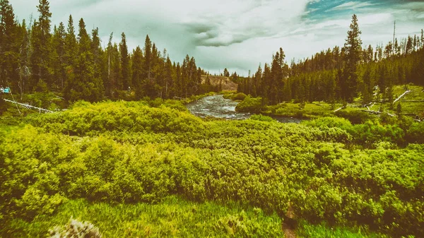Vista aérea del río y bosque de Yellowstone en temporada de verano, Wy —  Fotos de Stock