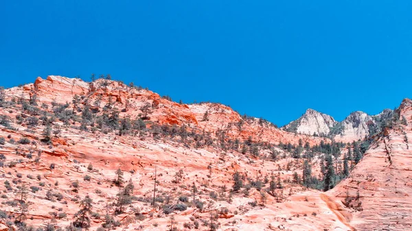 Letecký pohled na krásnou scenérii v národním parku Sion, Utah, U — Stock fotografie