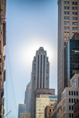 Manhattan Binaları, New York 'un vejetaryen çekimi