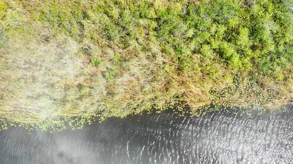 Widok z lotu ptaka na Park Narodowy Everglades, Floryda, Stany Zjednoczone — Zdjęcie stockowe