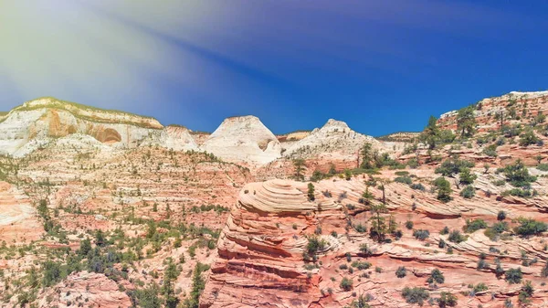 Aerial view  of beautiful scenery in Zion National Park, Utah, U — Stock Photo, Image