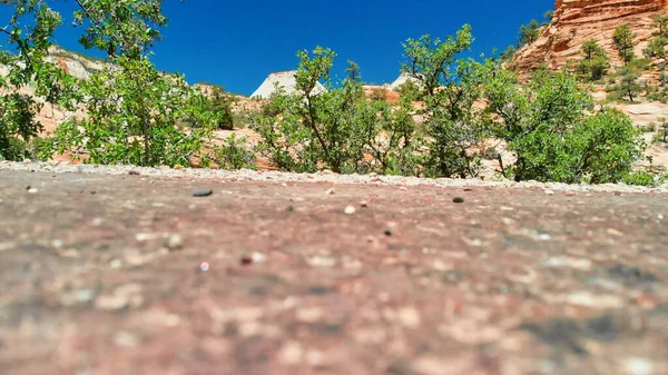 Wnętrze Parku Narodowego Zion Canyon, widziane z drona w summ — Zdjęcie stockowe