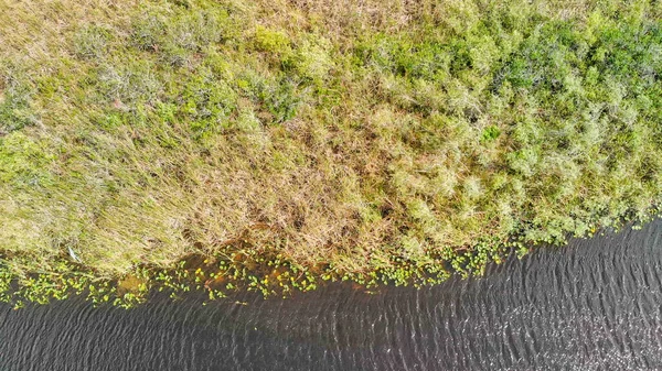 Letecký pohled na potok a bažiny v Florida Everglades, United — Stock fotografie