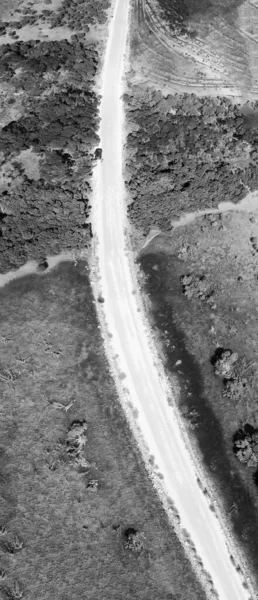 Camino sin pavimentar que cruza hermosos pantanos. Aeria panorámica aérea —  Fotos de Stock