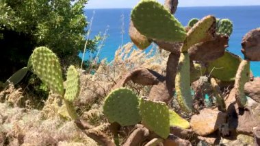 Güzel dalgalı deniz kıyılarının manzaralı görüntüleri