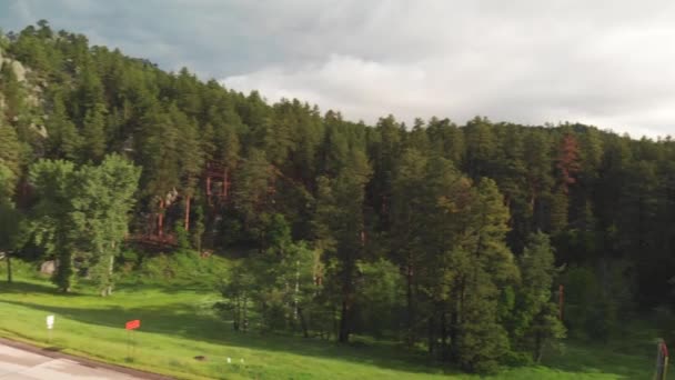 Natursköna Bilder Vacker Fjällskog — Stockvideo