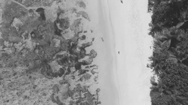 海滨的黑白风景画 — 图库视频影像