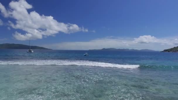 Scenic Footage Beautiful Wavy Seashore — Stock Video