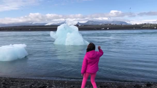 Beeldmateriaal Van Schattig Klein Meisje Staan Kust Omgeven Door Gletsjer — Stockvideo