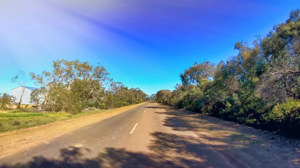 Camino sucio sin pavimentar a través del bosque, competir desde el frente del coche —  Fotos de Stock