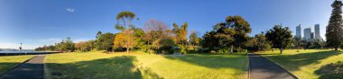 Sydney, Avustralya 'daki Royal Botanik Bahçelerinin panoramik manzarası