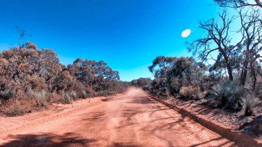 Ormanın karşısındaki asfaltlanmamış kirli yol, arabanın önünde yarış.
