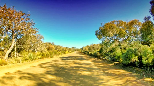 Немощеная грязная дорога через лес, с передней стороны машины — стоковое фото