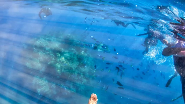 Снорклісти Досліджують Красивий Кораловий Риф — стокове фото