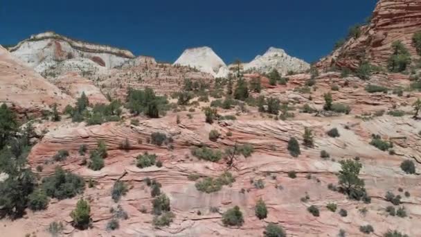 Aerial Footage Mountains Zion National Park — Stock Video