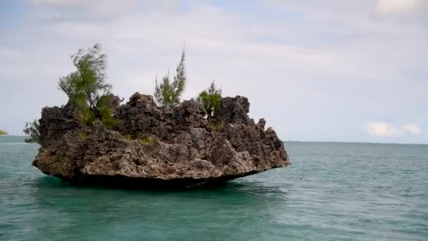 Güzel Dalgalı Deniz Kıyılarının Manzaralı Görüntüleri — Stok video