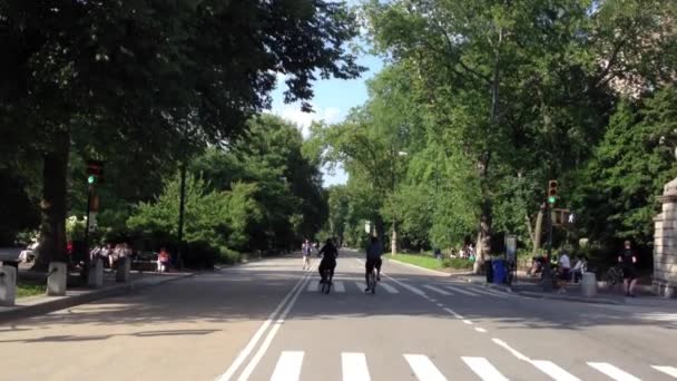 Imagens Pessoas Andando Parque Central Cidade Nova Iorque Eua — Vídeo de Stock