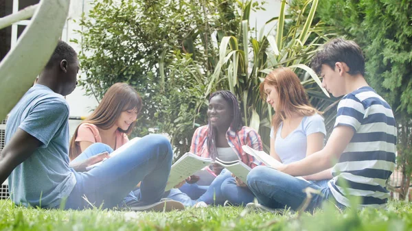 由5名学生组成的多族裔群体坐在草地上做作业和放松 — 图库照片