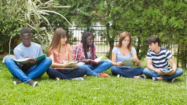 五个青少年在公园里玩 多民族教室的学生坐在草地上做作业 — 图库照片