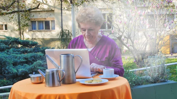 上了年纪的快乐女人在花园里提着笔记本电脑 退休概念 — 图库照片