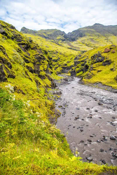 Islanda Paesaggio. Fiume e montagna nella stagione estiva — Foto Stock