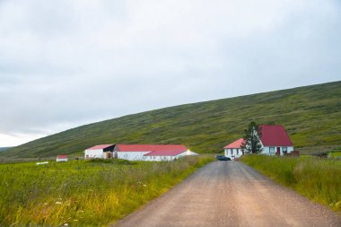 Yaz günbatımında İzlanda kırsalında yol.
