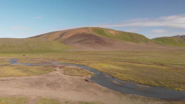 Paisagem Incrível Landmannalaugar Magníficas Terras Altas Temporada Verão Vista Aérea — Vídeo de Stock