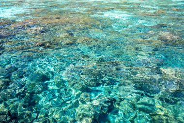 Mu Ko Surin Milli Parkı. İnanılmaz berrak Tayland suları